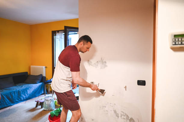 Best DIY Mold Remediation Support Services in Springfield, MI